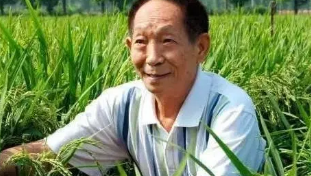 “杂交水稻之父”进入北京中考作文材料